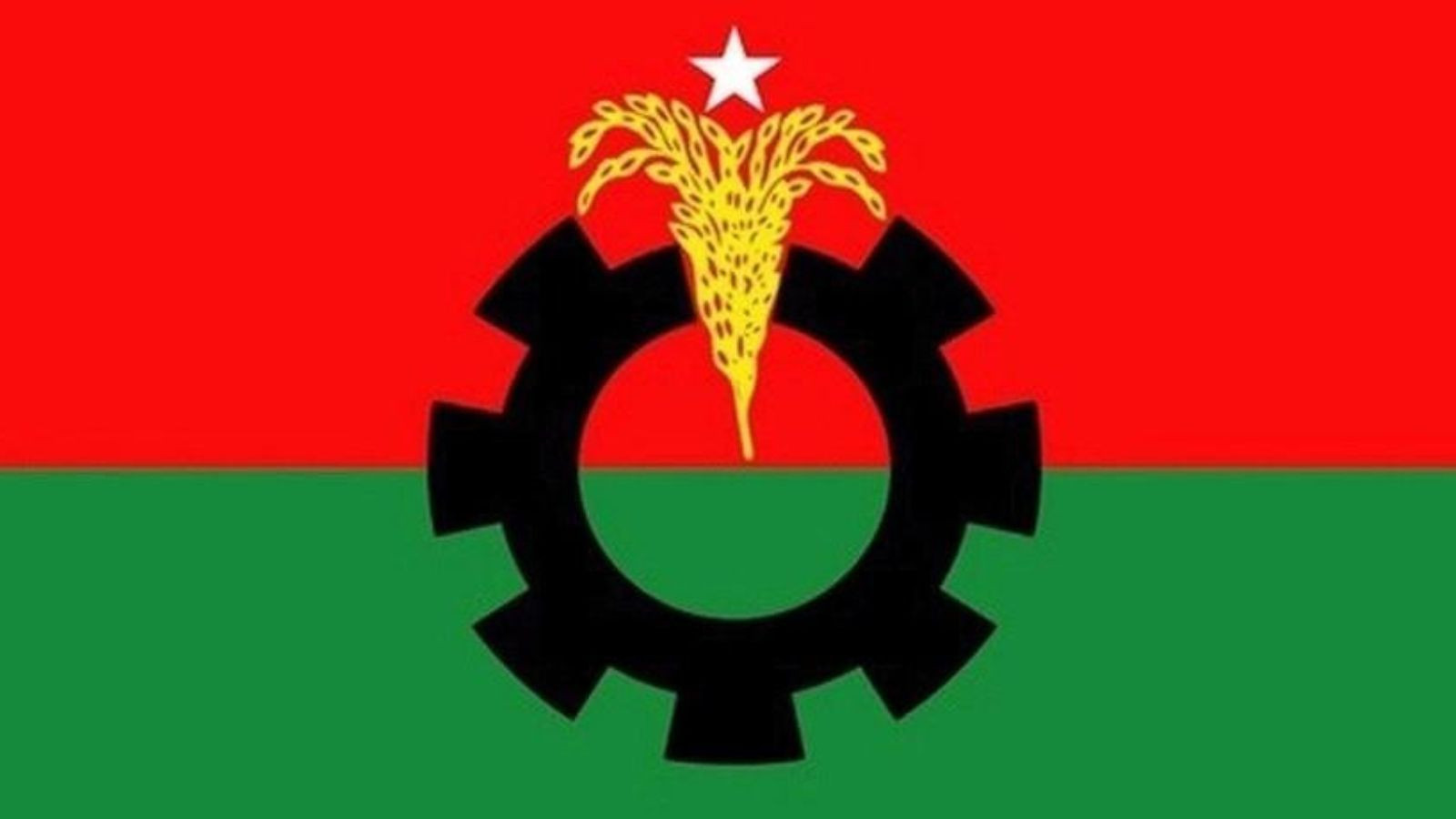 13th Parliamentary Election: Full List of BNP Candidates in 238 Seats