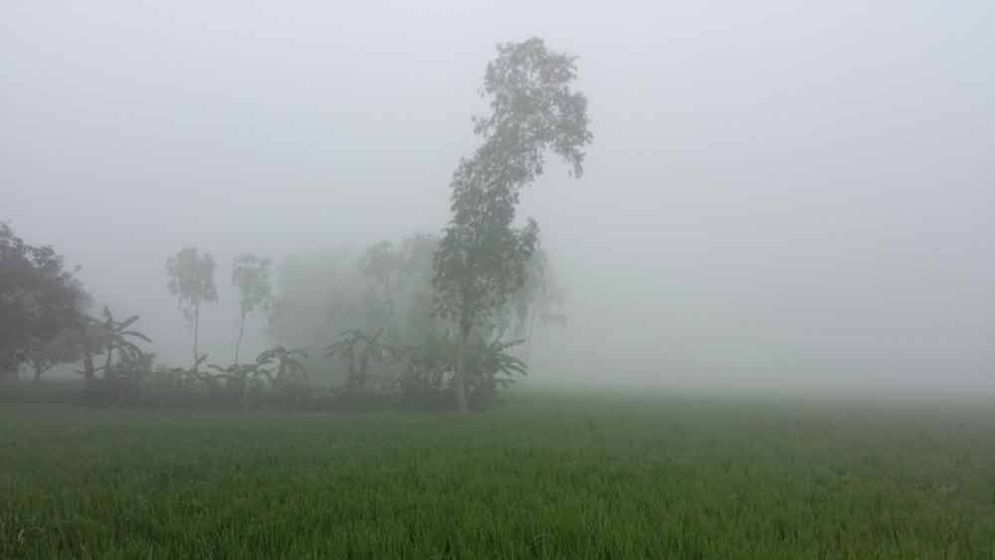 Cold intensifies in Panchagarh as temperature drops to 12°C