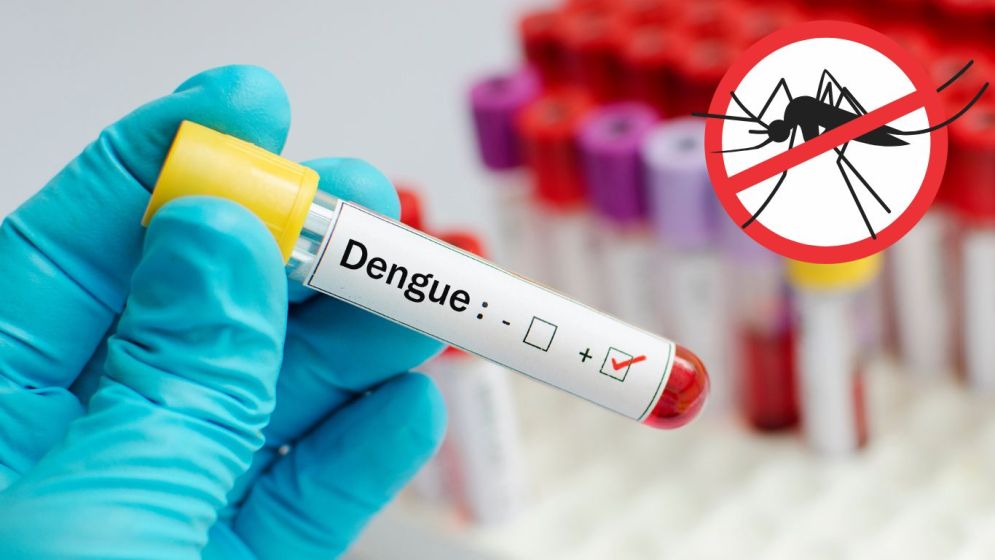 Dengue: 3 more die, 615 hospitalised in 24hrs