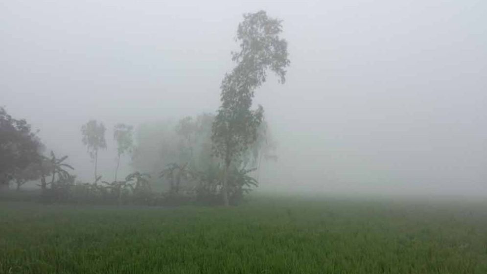 Tentulia records 13.2°c as cold intensifies