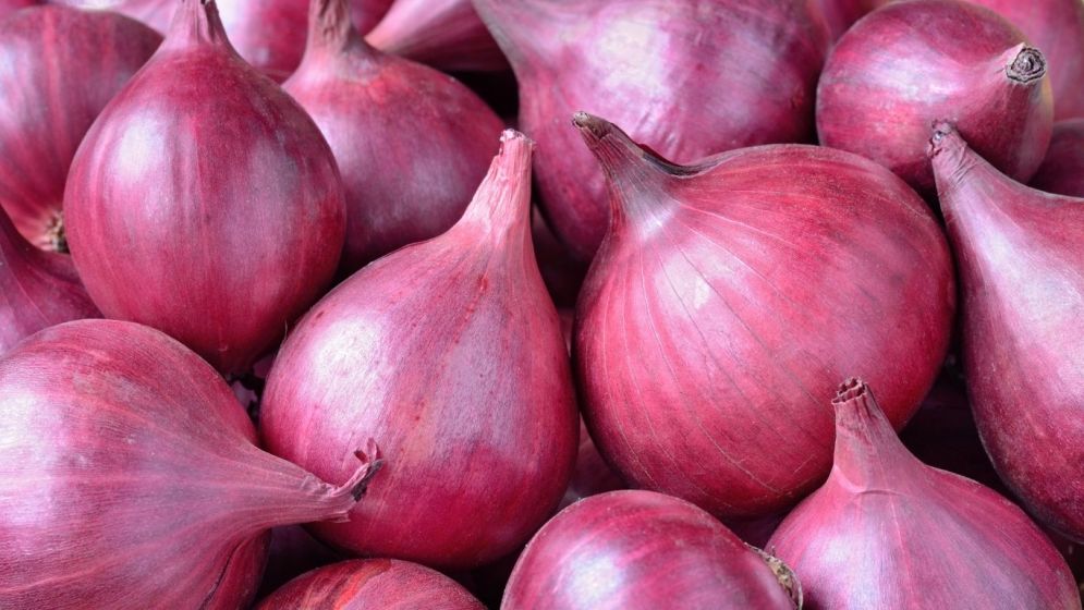 Govt allows to import 1,500 tonnes of onions from India
