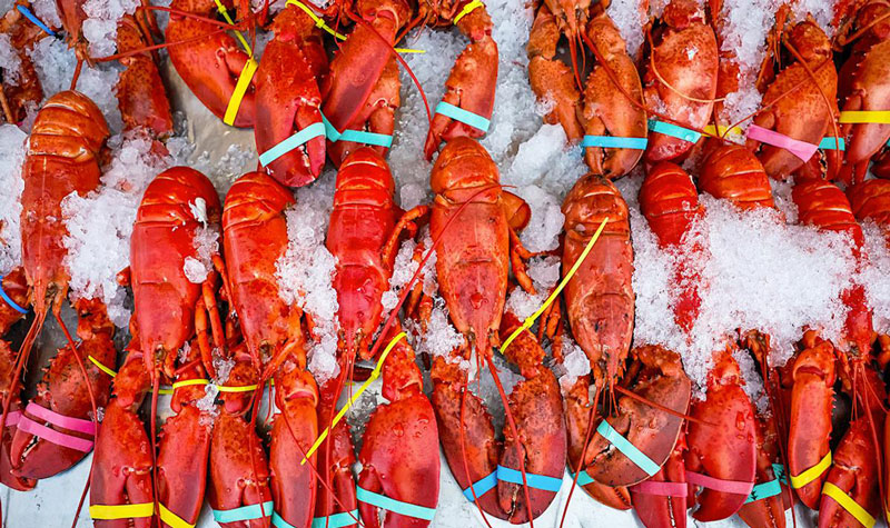 5 crore taka worth truckload live lobsters stolen in the United States