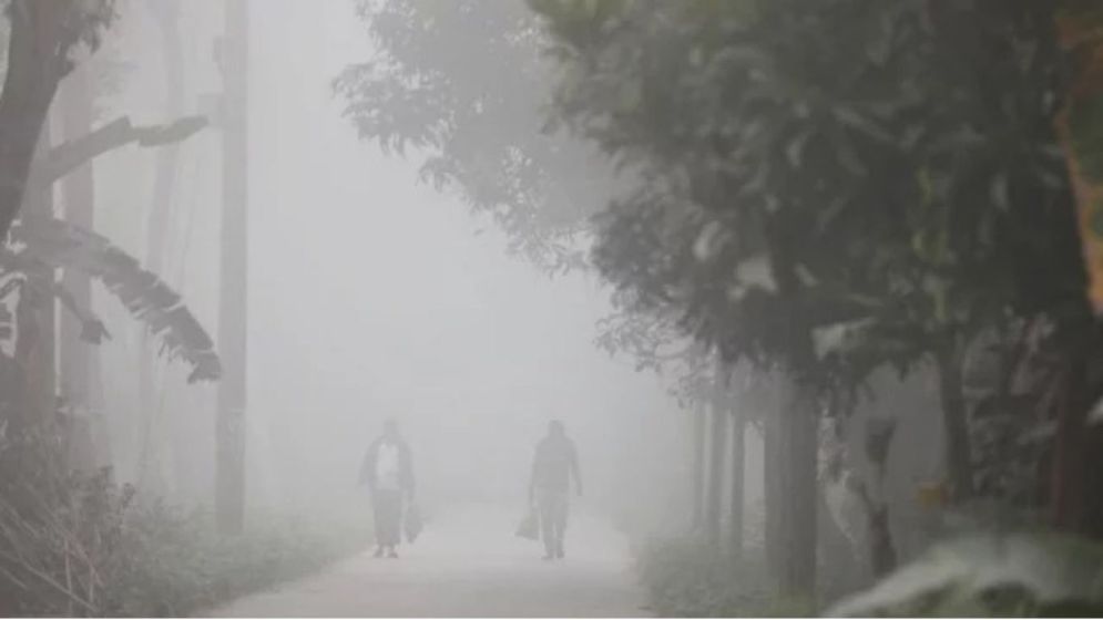 Cold wave to persist for 2-3 more days: BMD