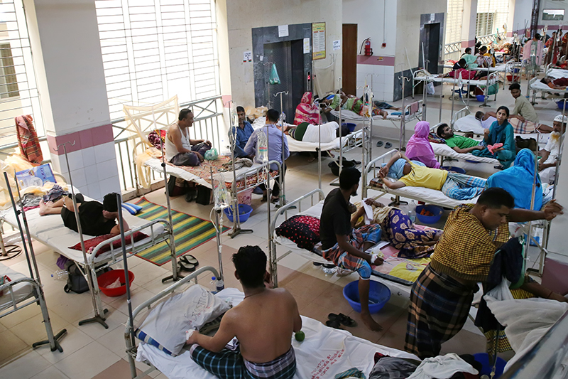 Dengue cases surpass 50,000 this year