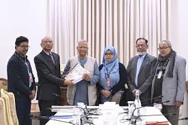 Political motives were behind enforced disappearances: Commission