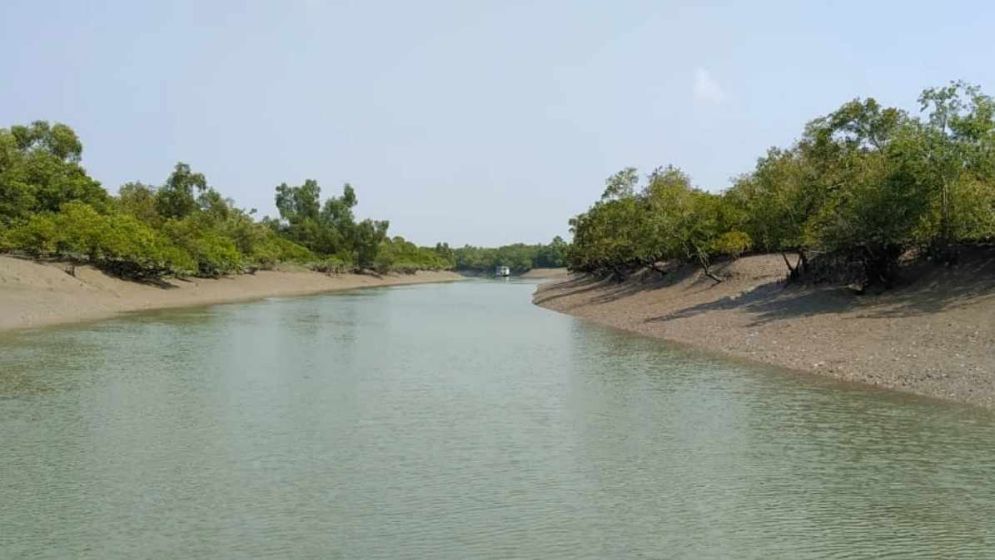 57 arrested, 43 firearms recovered in 2 years in Sundarbans: Coast Guard