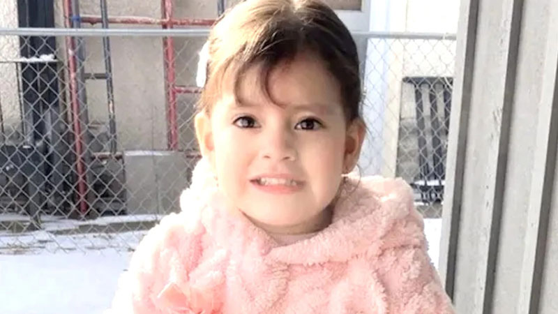 2-year-old girl and father taken by ICE in Minneapolis