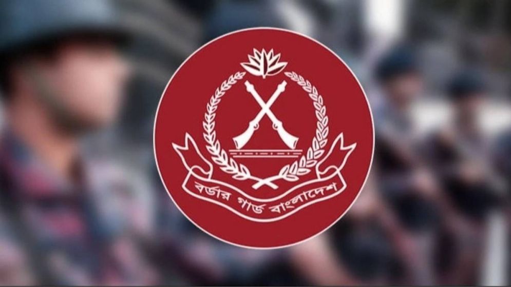 BGB seized smuggled goods worth Tk 19.08b in 2025