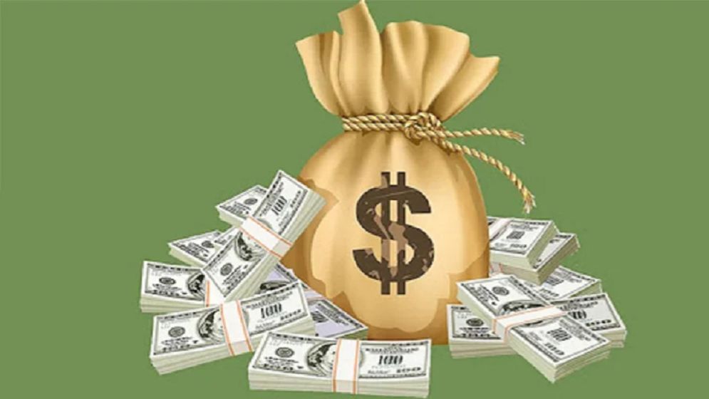 Lack of favourable environment at home pushes investment abroad