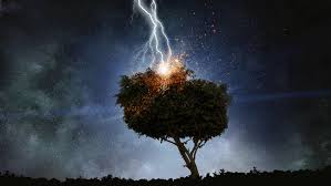 Man killed, several hurt as storm lashes two villages in Chuadanga