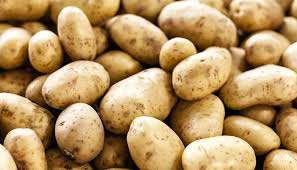 Vietnam opens market for Bangladeshi potatoes