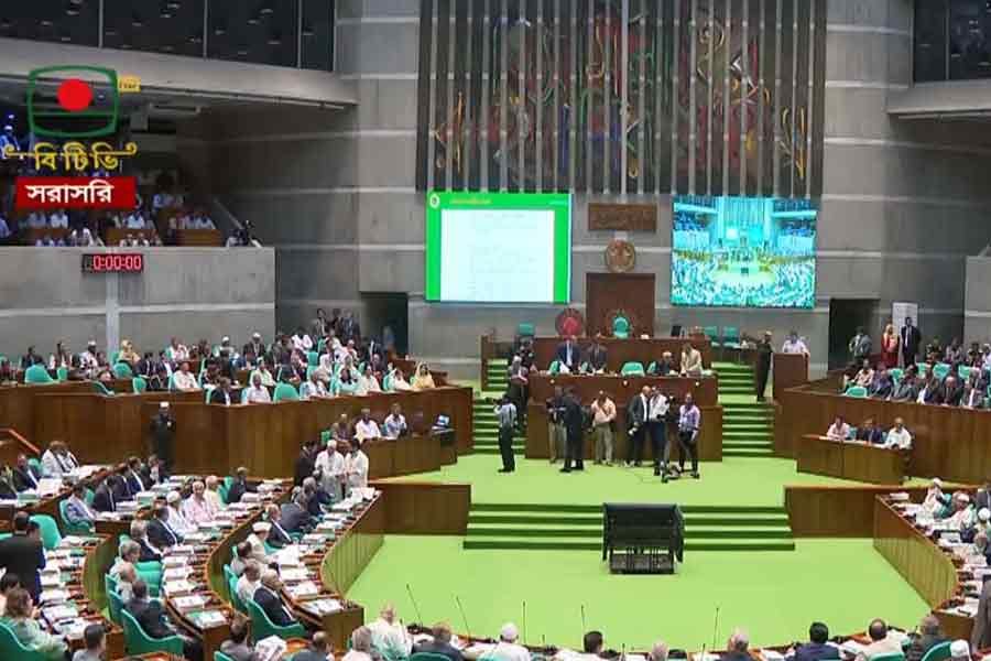 Microphone glitch disrupts parliament proceedings