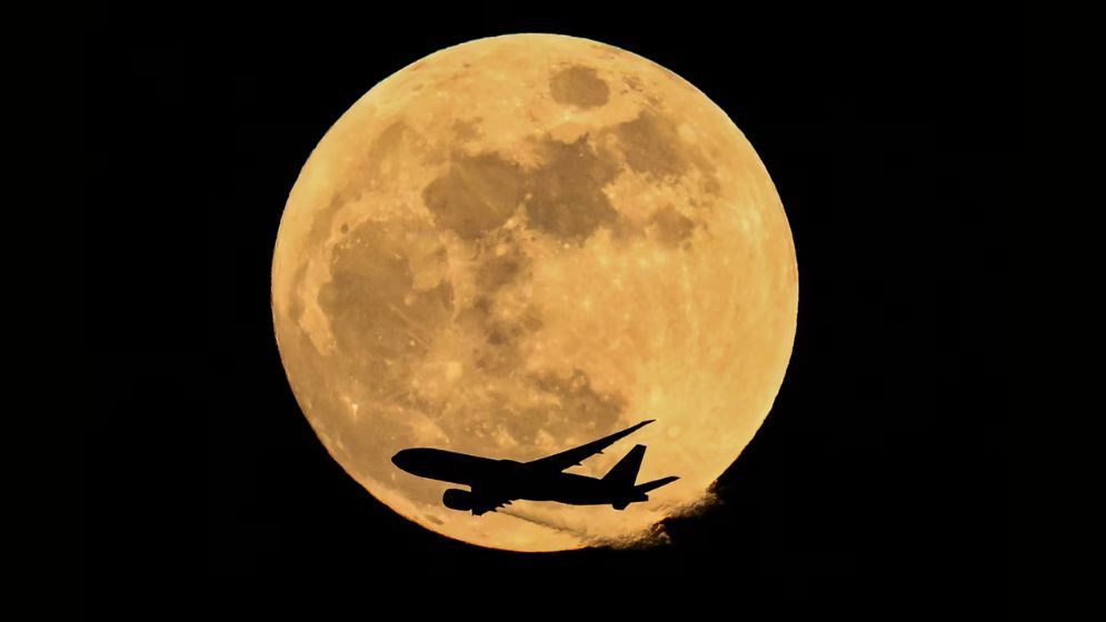 April’s full pink moon rose in the night sky this week