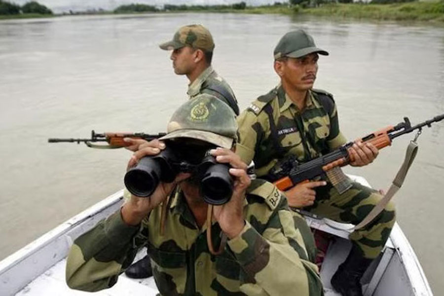 Controversy as BSF Debates Snakes, Crocodiles for Bangladesh Border Security