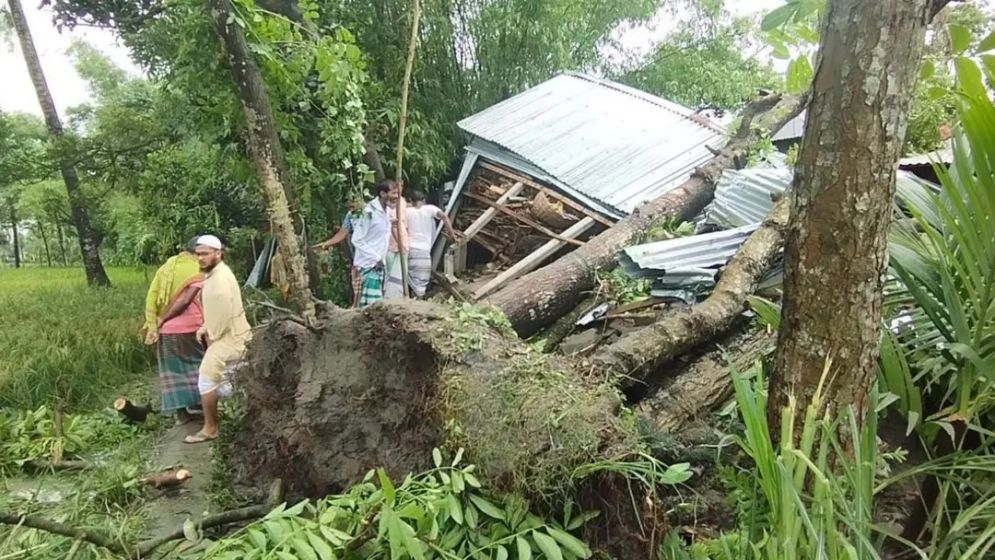Storm in Jamalpur claims lives of mother and two daughters
