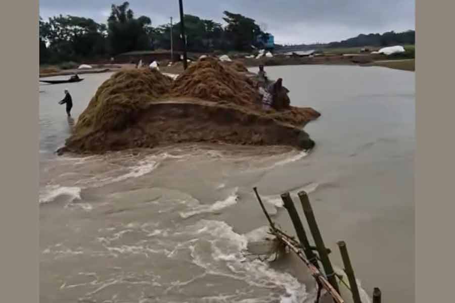 Sunamganj haor flooded as hill torrents breach rural road, threaten crops