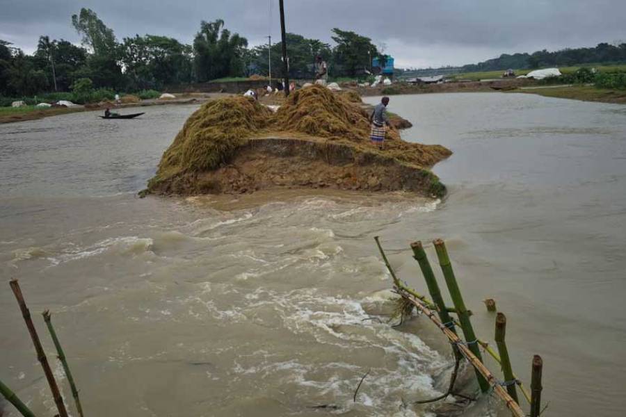 Three-day window for Haor flood relief as eight rivers remain above danger mark