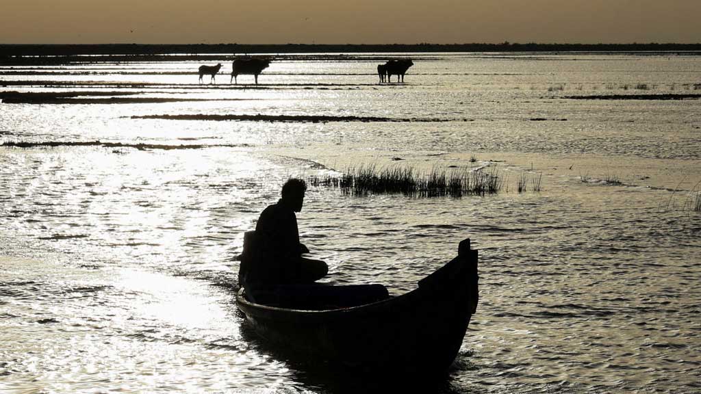 Nature returns to Iraq’s marshlands after long drought period