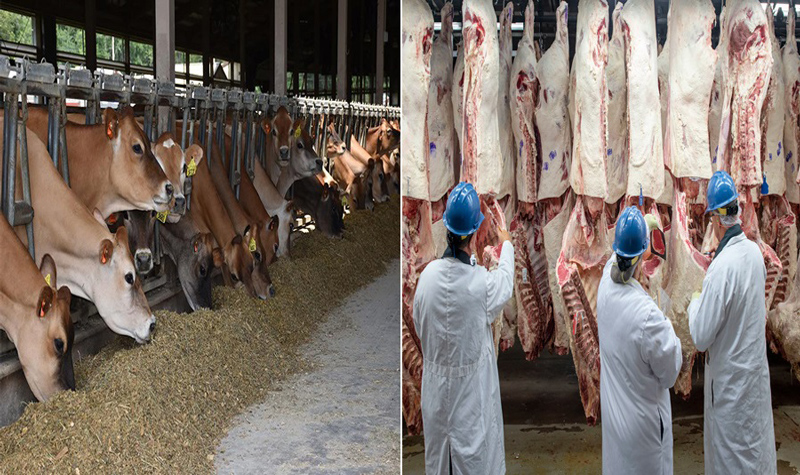 Butcher shortage in U.S: Thousands of expatriates struggle to receive 'Qurbani Meat'