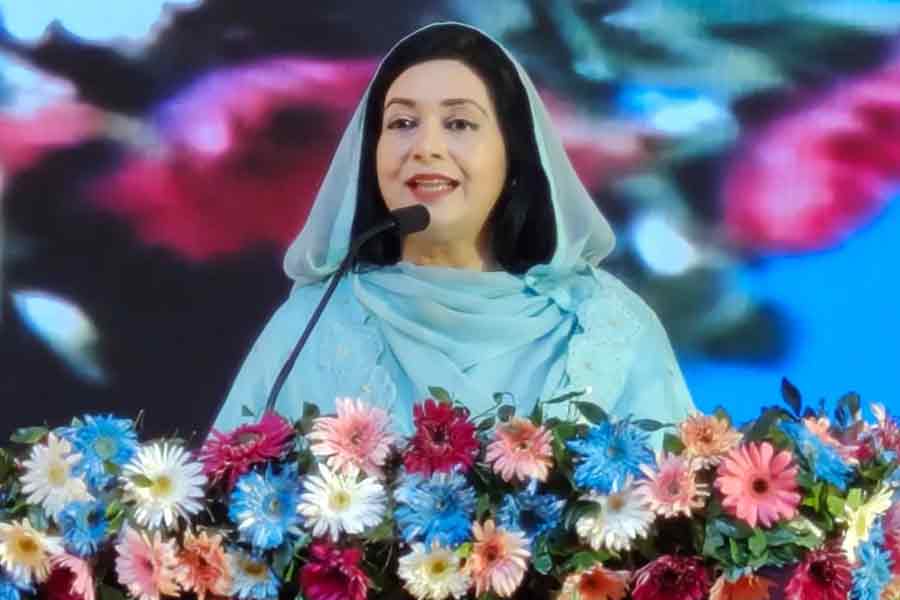 Dr Zubaida calls for extending critical care services to rural areas