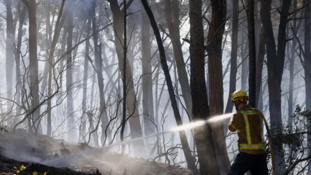 Wildfires Ravage Spain as Death Toll Rises to 12