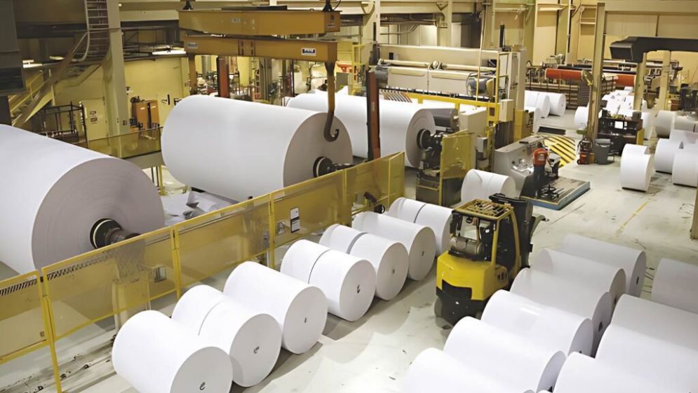 Local paper mills face crisis as low-cost imports surge
