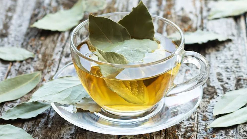 Know the benefits of drinking bay leaf water during the rainy season