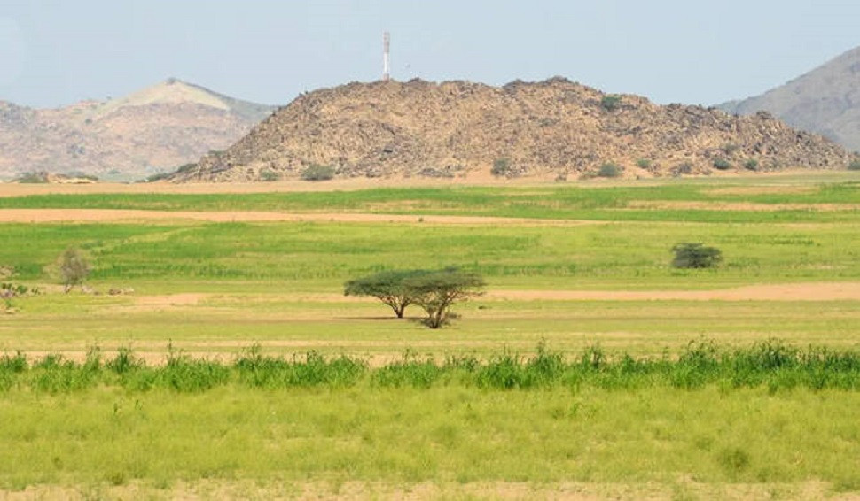 52-day pre-winter season begins in Saudi Arabia