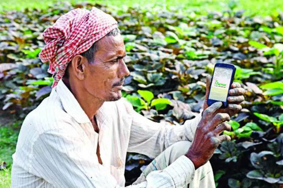 Digital Finance Surges in Rural Areas, Insurance Lags Behind