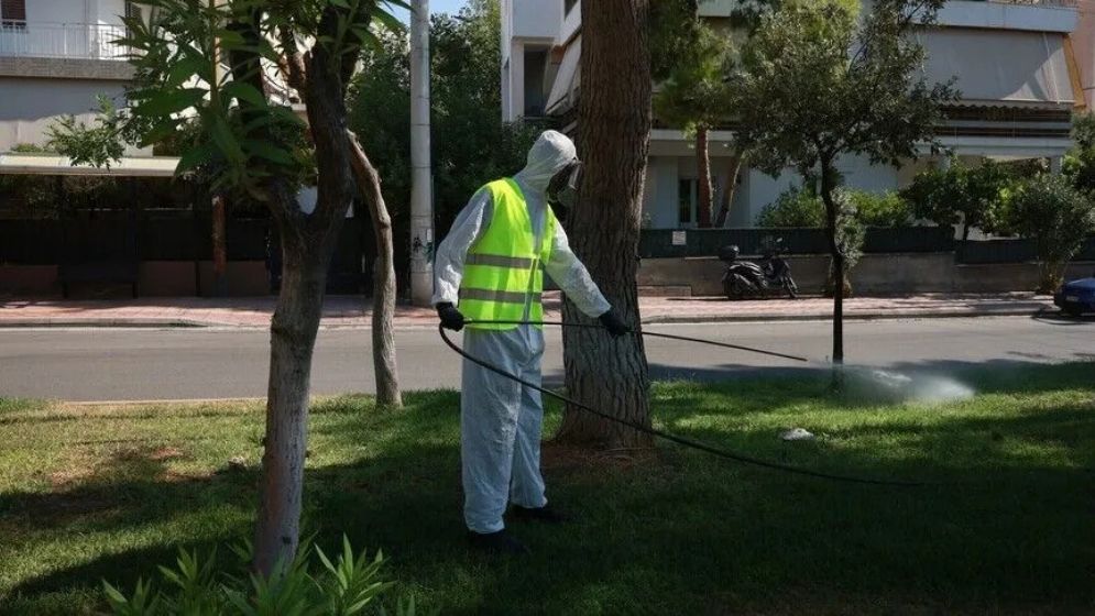 West Nile Virus Claims 17 Lives as Cases Reach 432 in Italy