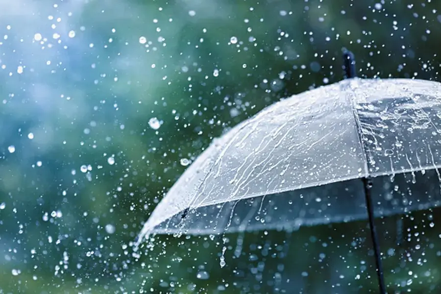 Light to moderate rain likely nationwide: BMD