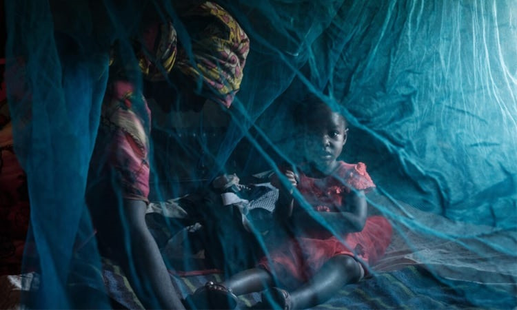 Climate change, population growth threats as malaria fight stalls