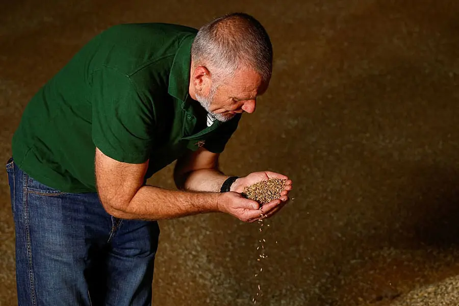 Moscow Rules Out Return to Black Sea Grain Agreement