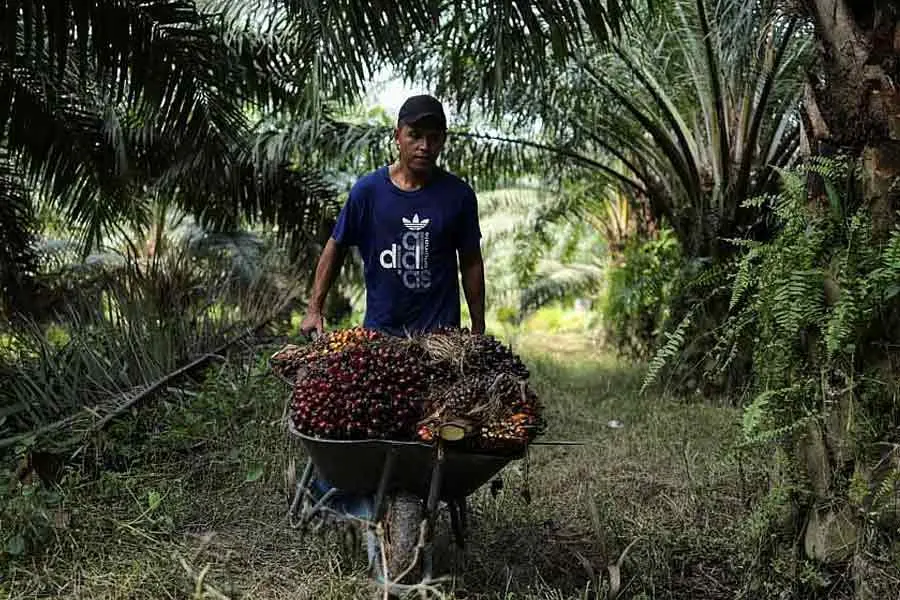 Malaysia Denies Official Plan to Recruit 200,000 Bangladeshi Workers