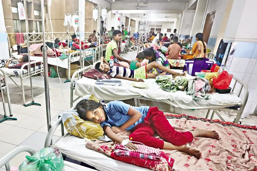 Dengue Toll: Four Dead, 1,314 New Hospital Admissions