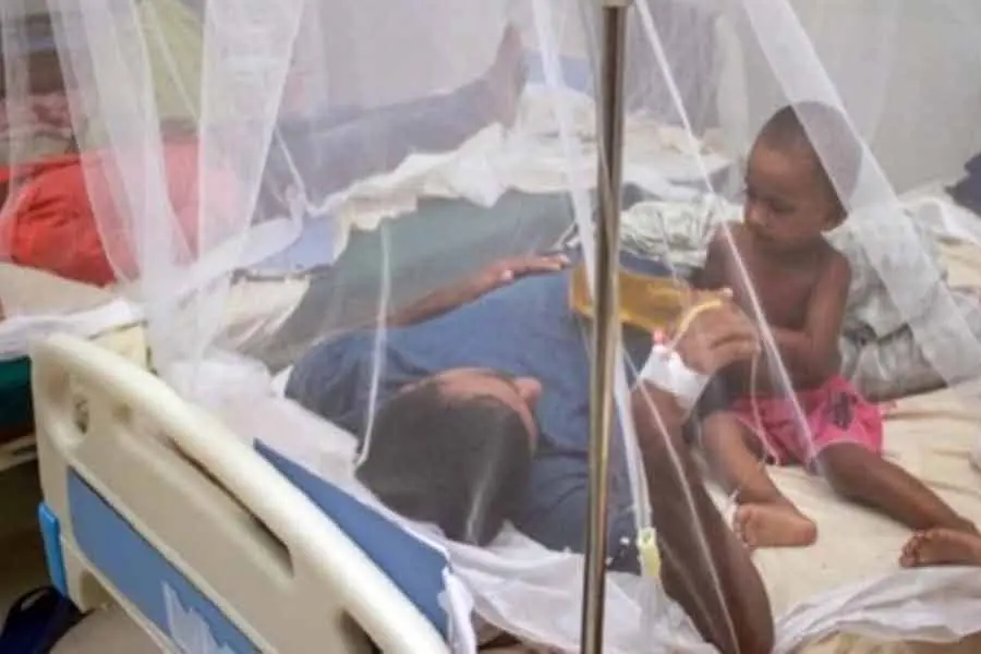 Bangladesh records year-high dengue deaths in 24 hours