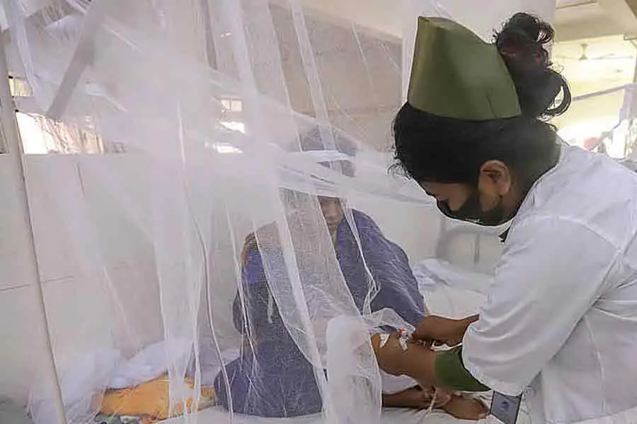 Dengue: 7 more die, another 1,593 hospitalised