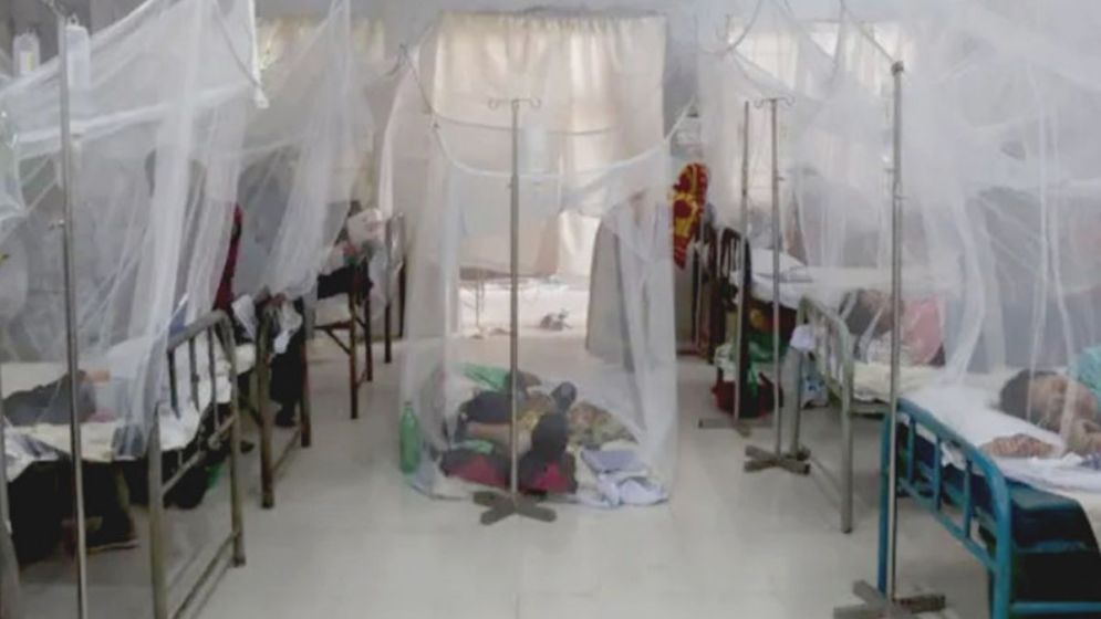 Dengue Kills Five, Sends 1,484 to Hospitals in 24 Hours