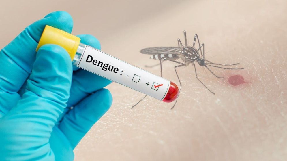 India’s First Dengue Vaccine Expected to Arrive in 2027