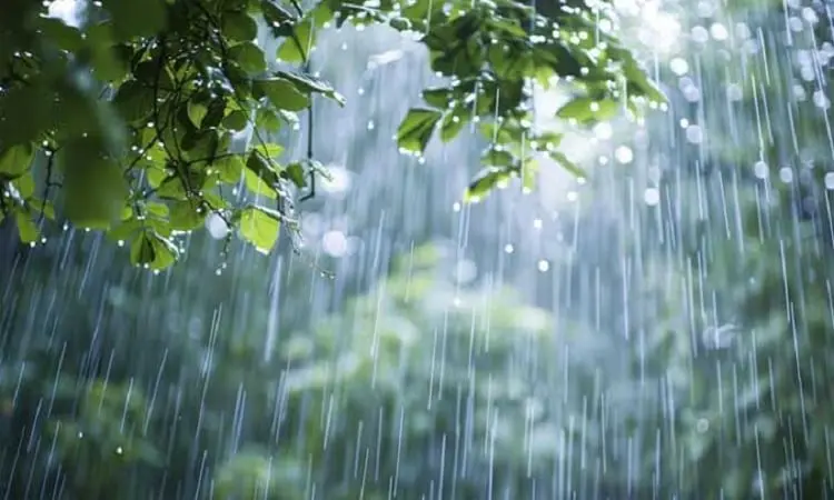 Met Office Predicts Rain, Gusty Winds in Several Areas