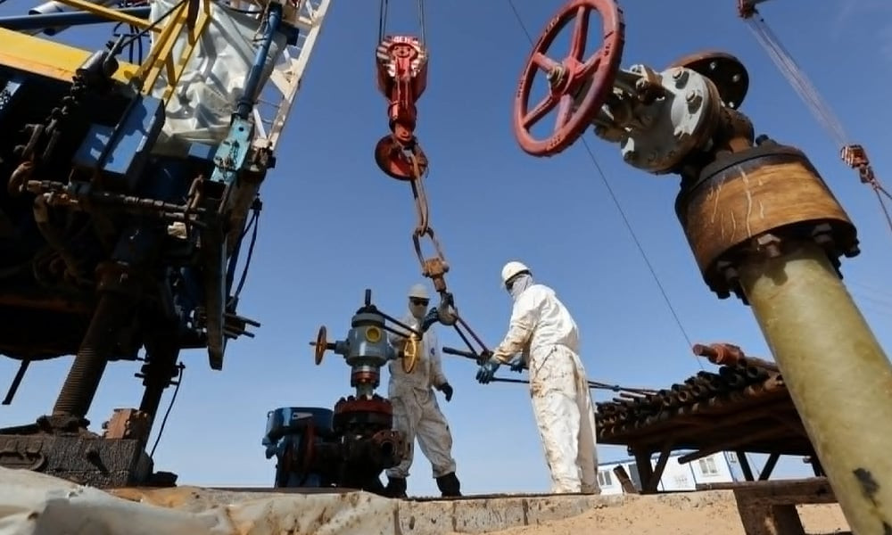 Pakistan petrol price may soar to PKR1,000 per litre: Minister