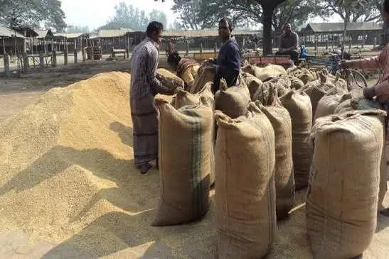 Record Boro Procurement Exceeds 2 Million Tonnes