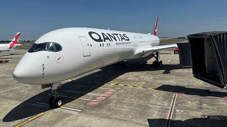 Qantas flight grounded due to bedbug infestation.
