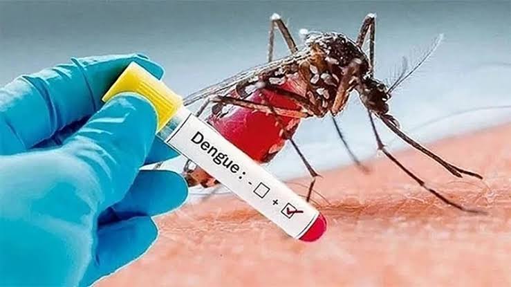 10 deaths from dengue in a single day