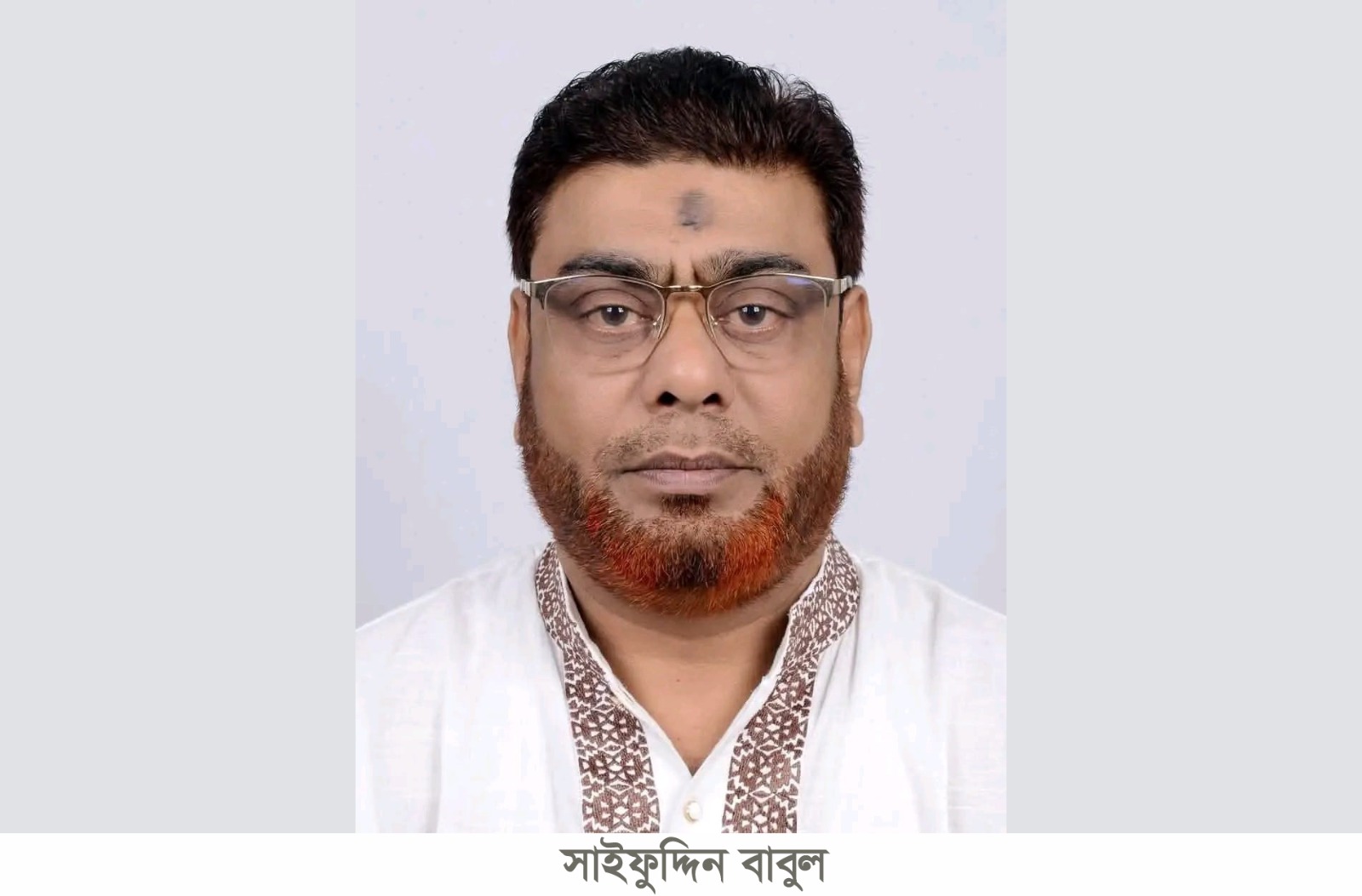 BNP approves committee with a 'boat' nomination seeker as president