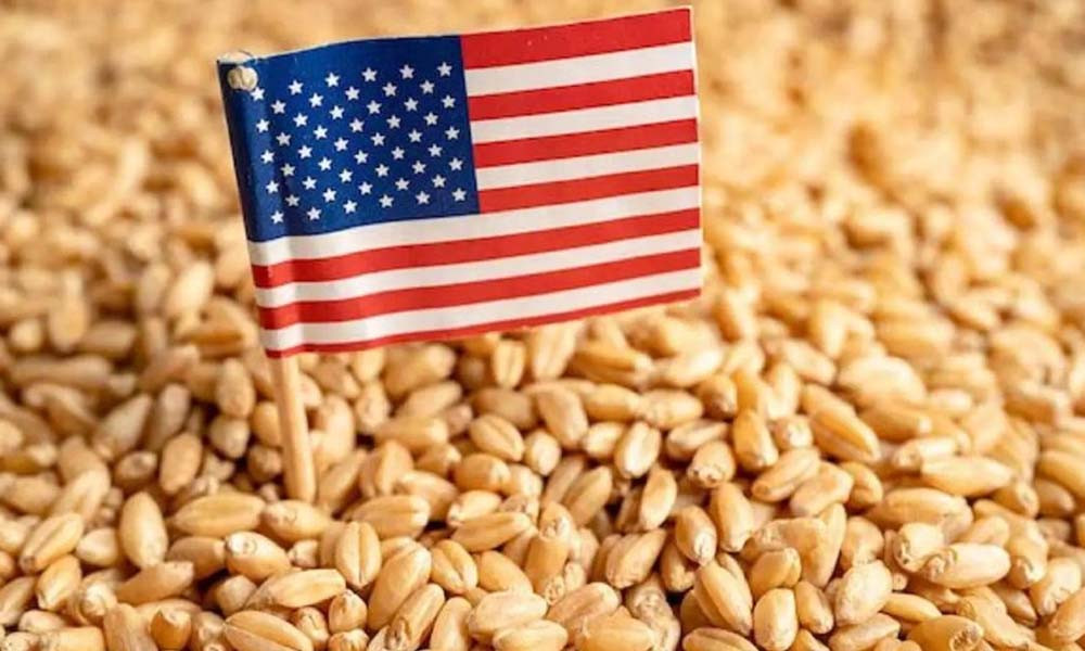 175,000 tonnes of wheat from the United States have arrived in the country.