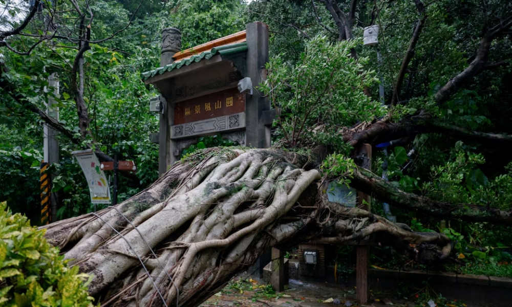 Typhoon ‘Champi’ strikes Taiwan: 1 dead, over 500 injured