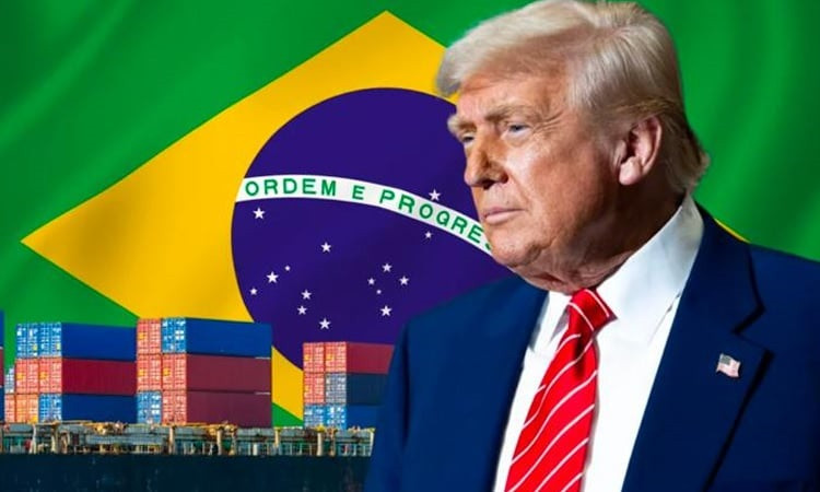 In US tariff talks, Brazil's rare earths a 'trump card