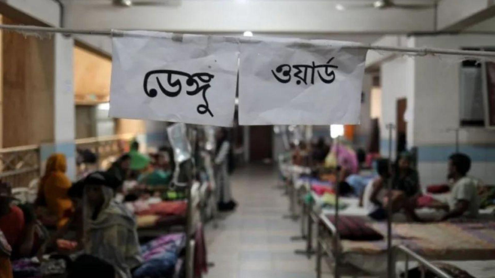 Dengue: Six more die, 983 hospitalised in 24hrs