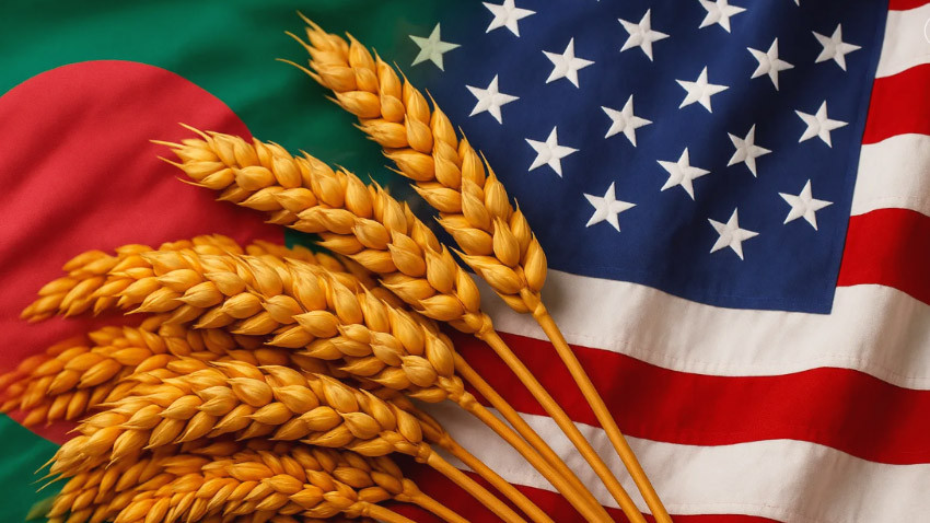 No irregularities in wheat imports from United States: Food Ministry